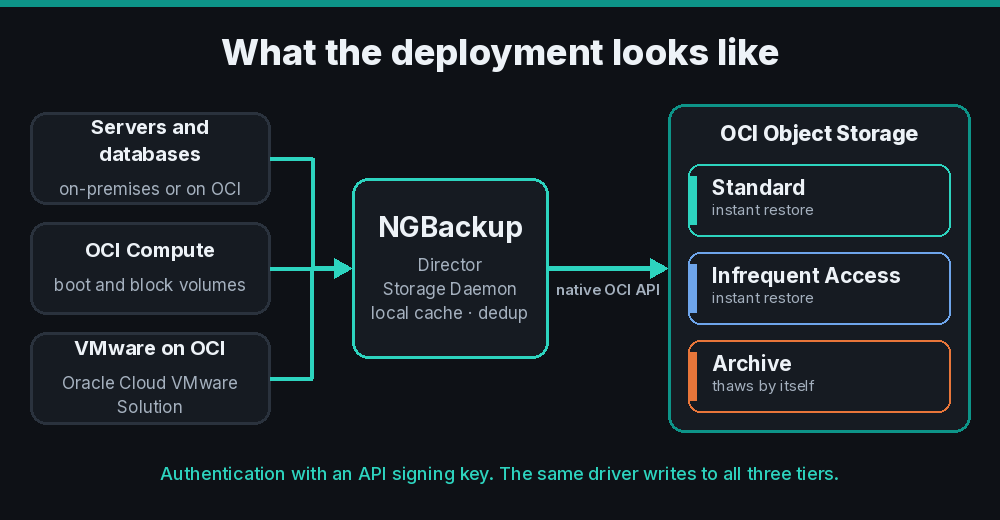 Deployment: servers, OCI Compute instances and VMware on OCI sending backups through NGBackup to OCI Object Storage in the Standard, Infrequent Access and Archive tiers